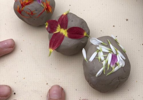 Voorbeeld van zaadbommetjes gemaakt op workshop Hello Mojo Kortrijk